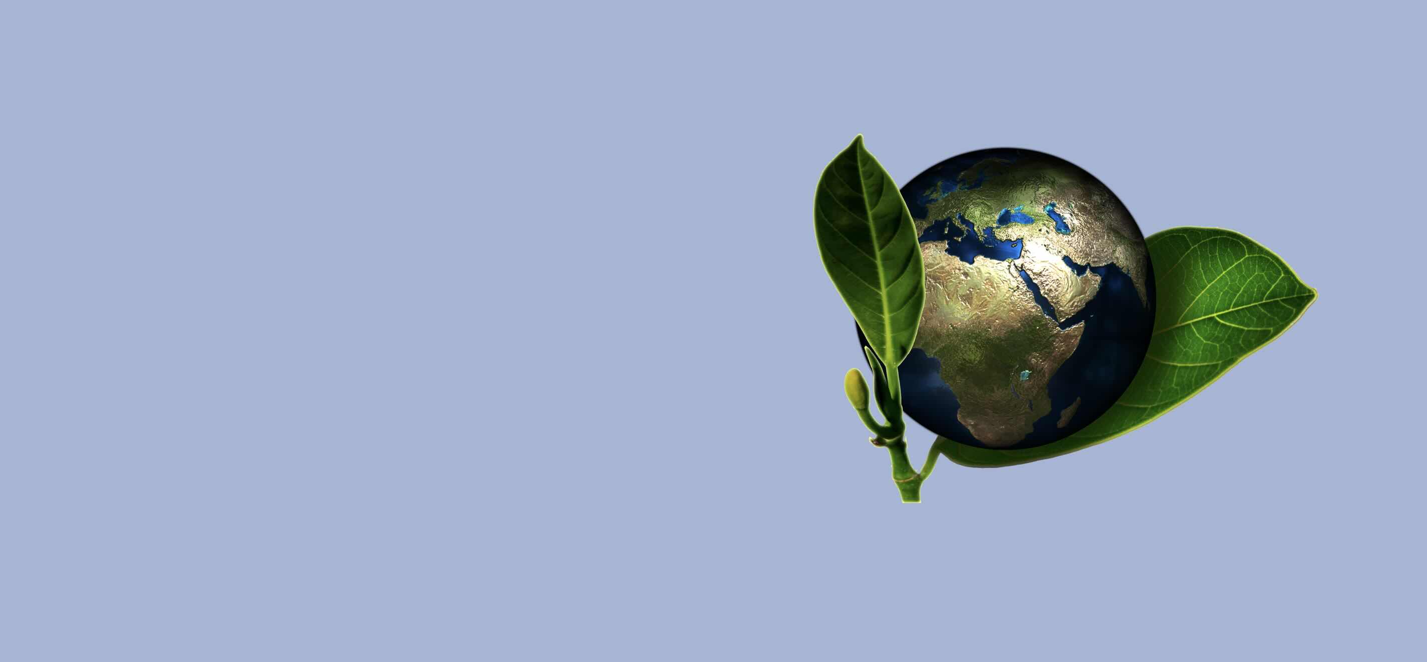 ¿Ser solidario para defender el medio ambiente?