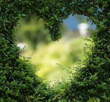 ¿Creer que Dios ama a unos más que a otros o a todos por igual?