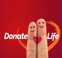 Donación de órganos, ¿hacerlo post-mortem?