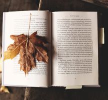 ¿Leer a Arturo Pérez-Reverte?