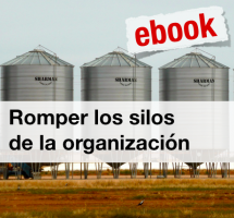 ¿Leer el ebook "Romper los Silos de la organización" de Alberto Andreu?