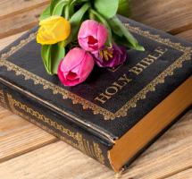 Flores sobre la Biblia