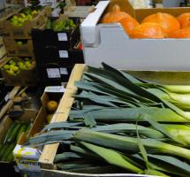 producto ecolÃ³gico