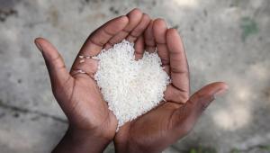 apadrinar-nino-traves-ong