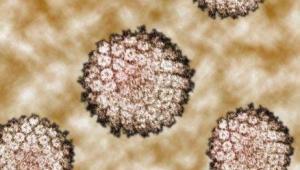 ¿Dar dinero a la investigación contra el cáncer?