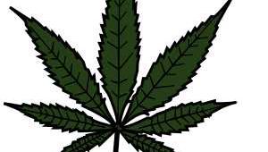 Ilustracion de una hoja de marihuana sobre fondo blanco