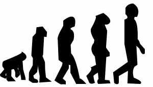 IlustraciÃ³n de la cadena evolutiva desde el mono al hombre