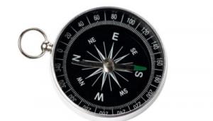 ¿Dar apoyo a la investigación sobre Alzheimer?