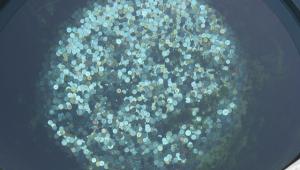 Aceptar la economía sumergida en mi país