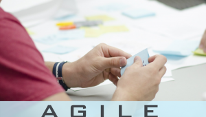 ¿Leer el ebook "Agile" de dontknowschool?
