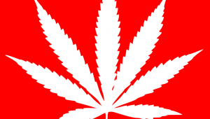 Apoyar la legalización y regulación del comercio de cannabis