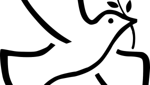 Apoyar las misiones de paz de los ejércitos