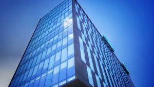 Fomentar el desarrollo de la resiliencia en las organizaciones