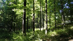 Cambiar de estilo de vida para no agotar los recursos de la Tierra