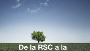 ¿Leer el ebook "De la RSC a la sostenibilidad corporativa" de Alberto Andreu?