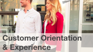 ¿Leer el ebook "Customer Orientation and Experience" de Antonio Fontanini?