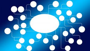 Colaboración, conexión