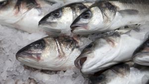 Pescado apilado sobre hielo