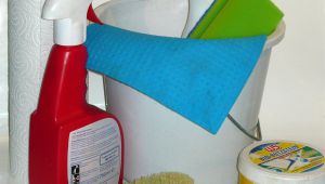 Contratar a alguien para que limpie mi casa