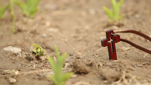 ¿Creer en la resurrección de los muertos?