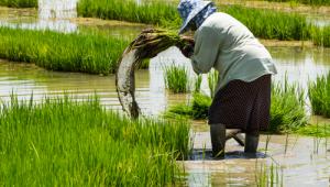 abolir-desigualdades-economicas