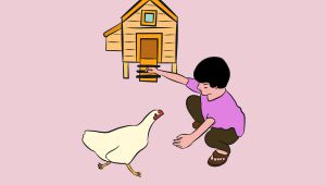 ¿Proponer a los hijos un campamento de verano en una granja escuela?