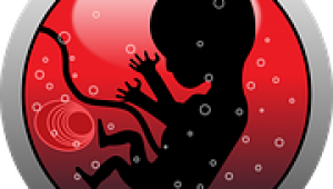 ¿Reformar la Ley española del aborto? 