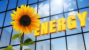 Apostar por las energías renovables