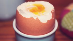 ¿Incluir en la alimentación proteínas de origen vegetal y no animal?