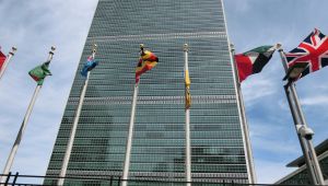 Organismo internacional de las Naciones UNidas