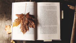 ¿Leer a Arturo Pérez-Reverte?