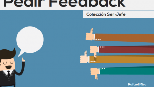 Leer el e-book "Pedir feed back" de dontknowschool