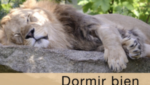 Leer el ebook "Dormir bien" de dontknowschool