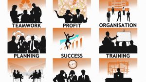 Organización empresa