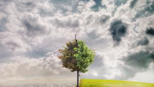 Promover acuerdos internacionales para frenar el cambio climático