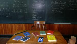 Promover que la escuela y los institutos eduquen la solidaridad