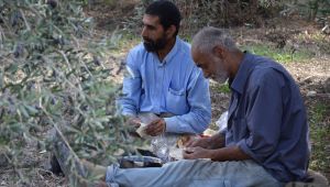 Apoyar acciones sociales para favorecer a personas desplazadas