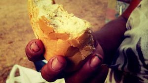 ¿Ser solidario con los desconocidos?