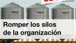 ¿Leer el ebook "Romper los Silos de la organización" de Alberto Andreu?