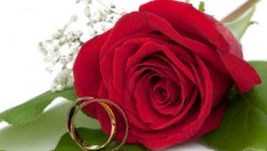 Anillos de compromiso con rosas de fondo