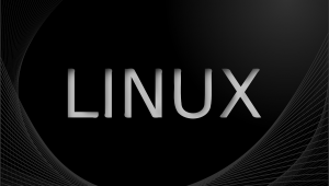 Usar Linux como sistema operativo