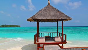 Viajar en mi tiempo libre