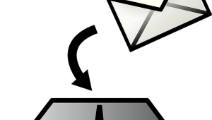 Votar en las elecciones