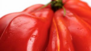 Llevar una dieta sana evitando los transgénicos