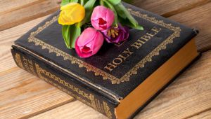 Flores sobre la Biblia