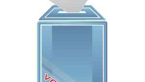 IlustraciÃ³n de una urna con una papeleta que se introduce.