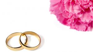 Dos anillos de compromiso y una flor sobre fondo blanco