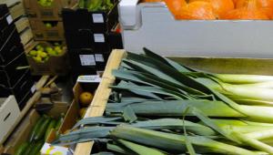 producto ecolÃ³gico