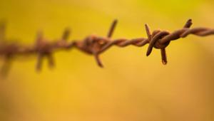 sentirme-culpable-que-hicieron-mis-antepasados