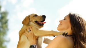 Mascotas, ¿tener una para evitar la soledad?